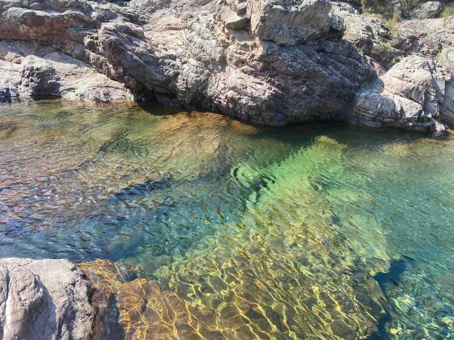 Exceptionnelle Vue Mer Calvi - Piscine - T2 エクステリア 写真