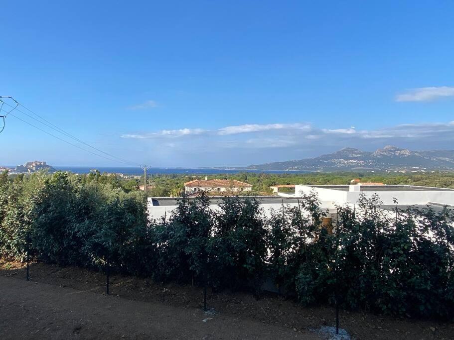 Exceptionnelle Vue Mer Calvi - Piscine - T2 エクステリア 写真
