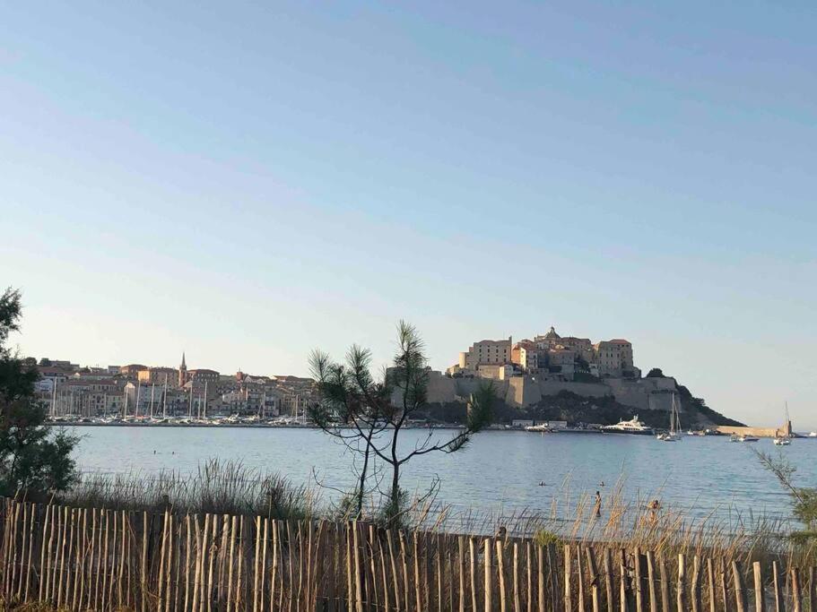 Exceptionnelle Vue Mer Calvi - Piscine - T2 エクステリア 写真